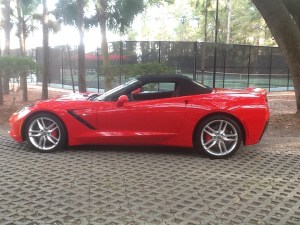 NOT FOR THE FAINT OF HEART